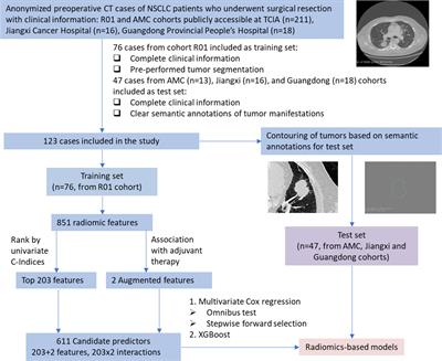 Augmented Features Synergize Radiomics in Post-Operative Survival Prediction and Adjuvant Therapy Recommendation for Non-Small Cell Lung Cancer